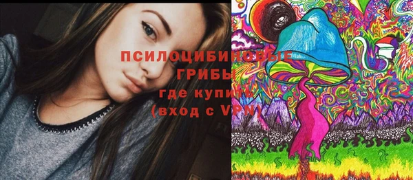 Альфа ПВП Абдулино