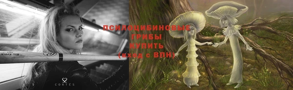 трава Абинск