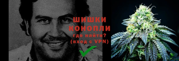 амф Абаза