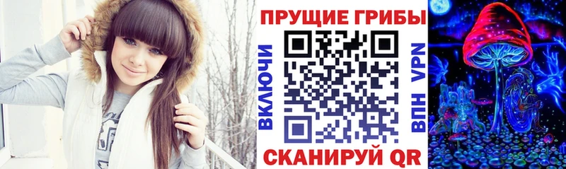 Псилоцибиновые грибы Psilocybe  mega tor  Котово  наркотики 